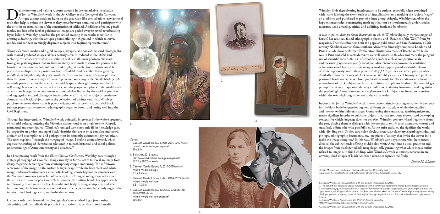 Denise Johnson Exhibtion Essay