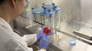 CLS student in lab coats and splash masks.