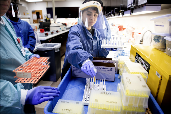 Clinical Laboratory Scientist students in lab class.