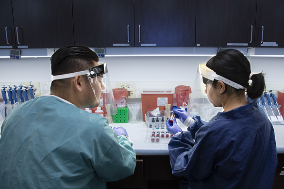 Clinical Laboratory Scientist students in lab class.