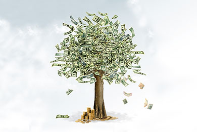 Lightbulb with Money Sign