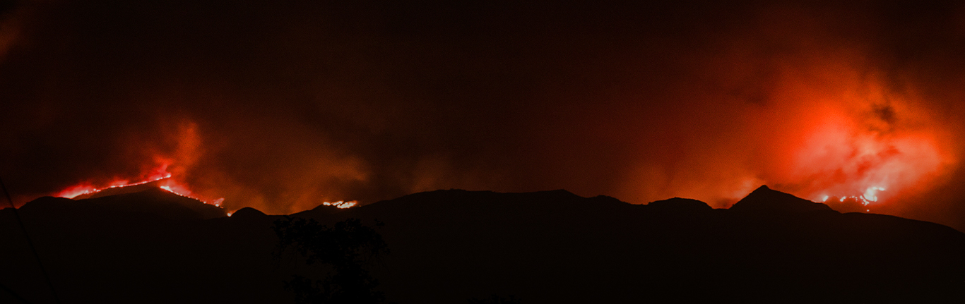 Wildfire Relief