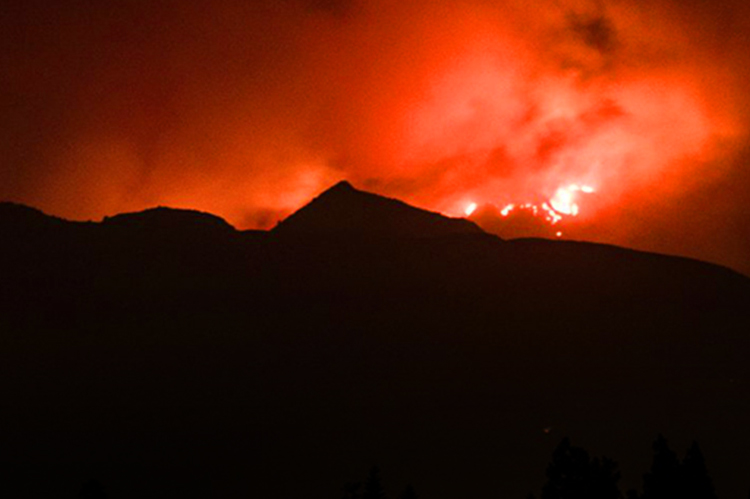 Wildfire Relief