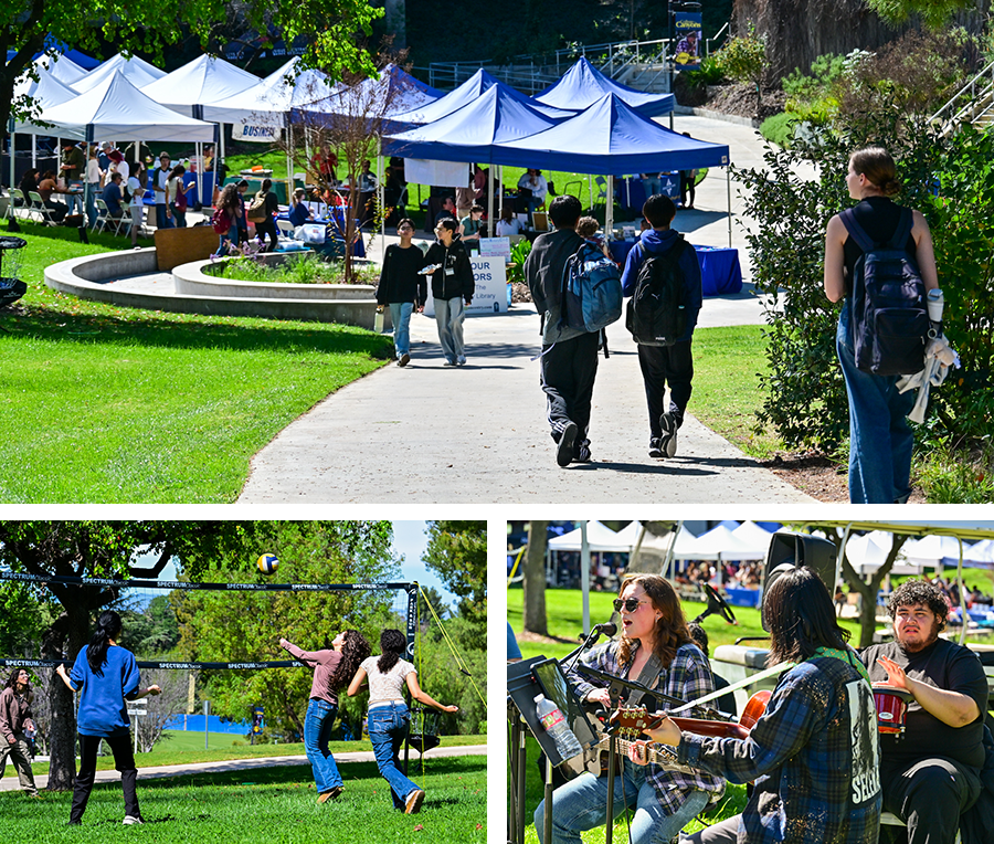Students participate in CougarFest
