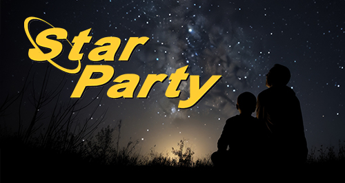 Silhouette of two individuals gazing up toward a night sky filled with stars.