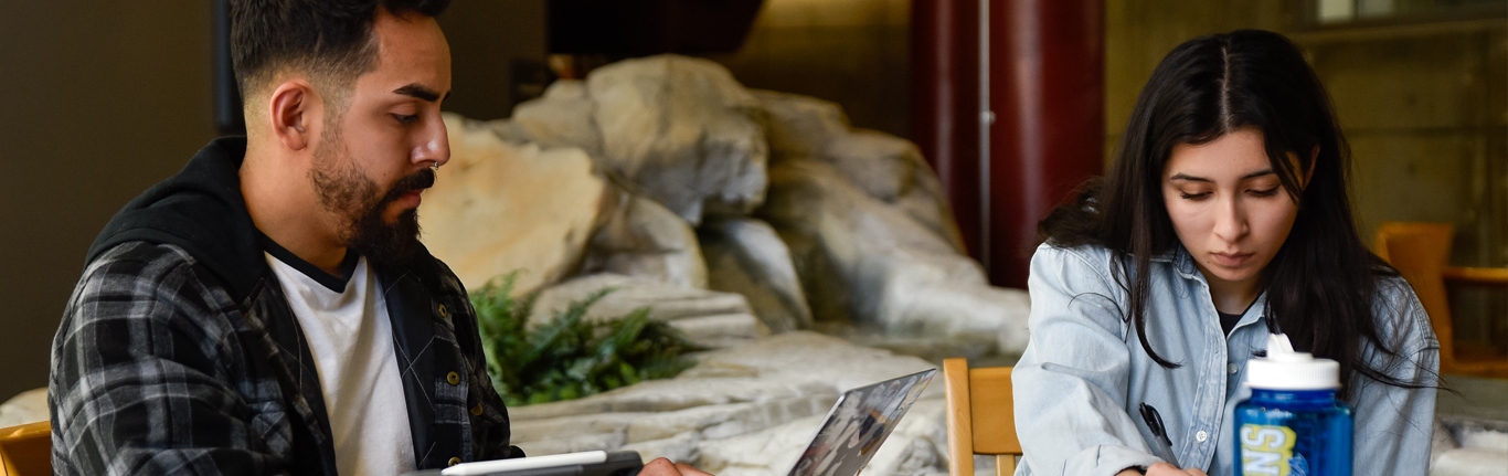 Two students studying