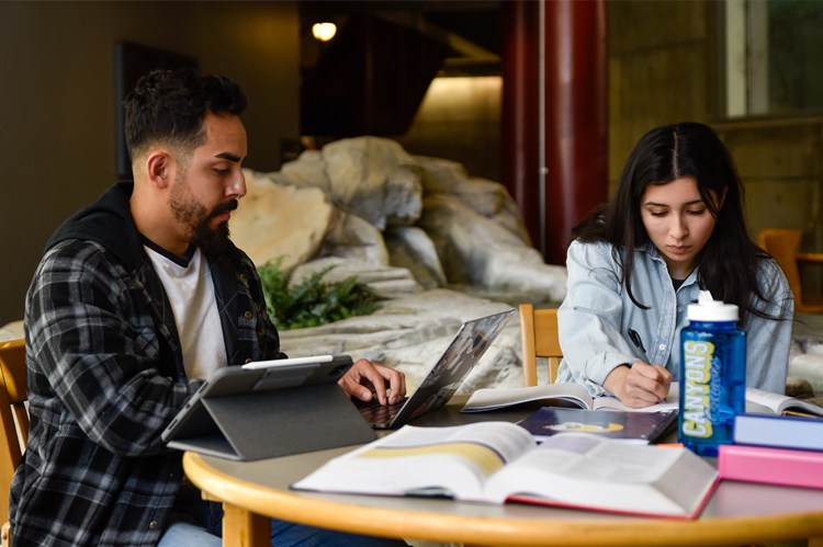 Two students studying