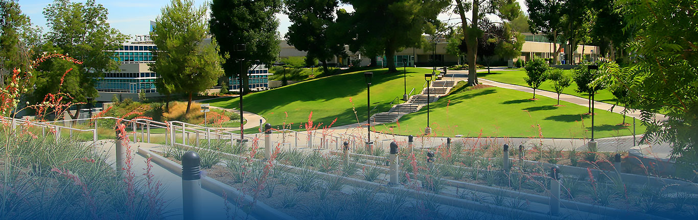 IFY banner 2019 mobile