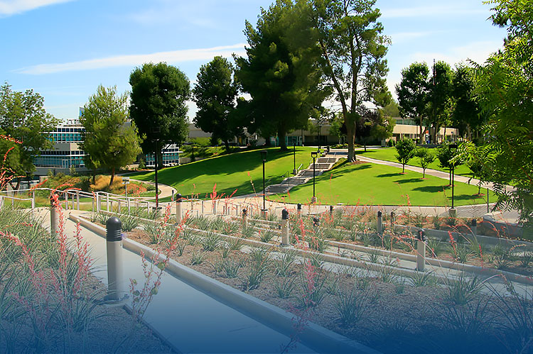 Aliso Hall 