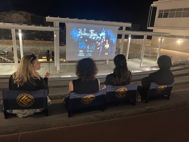 Amphitheatre Seating