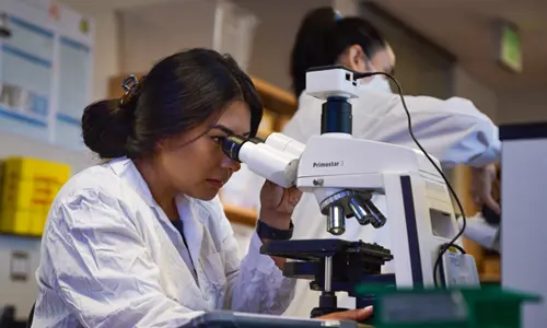 Mathematics, Sciences & Engineering