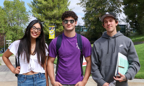 Social & Behavioral Sciences