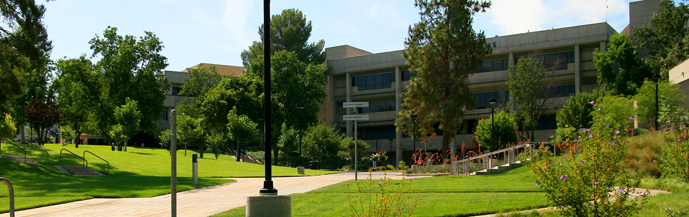 Honor Grove