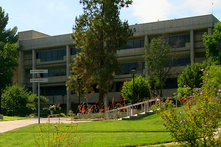 Honor Grove