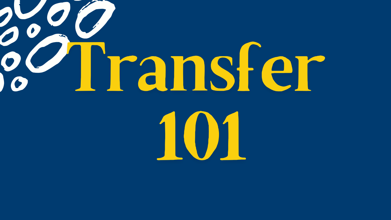 Transfer-101