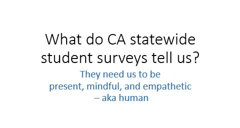 CA Survey Results