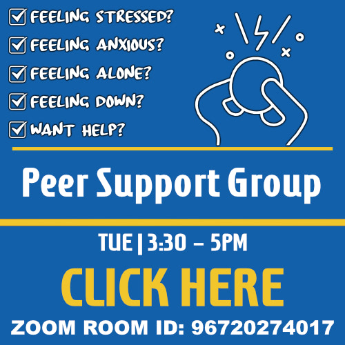 Peer Support Group