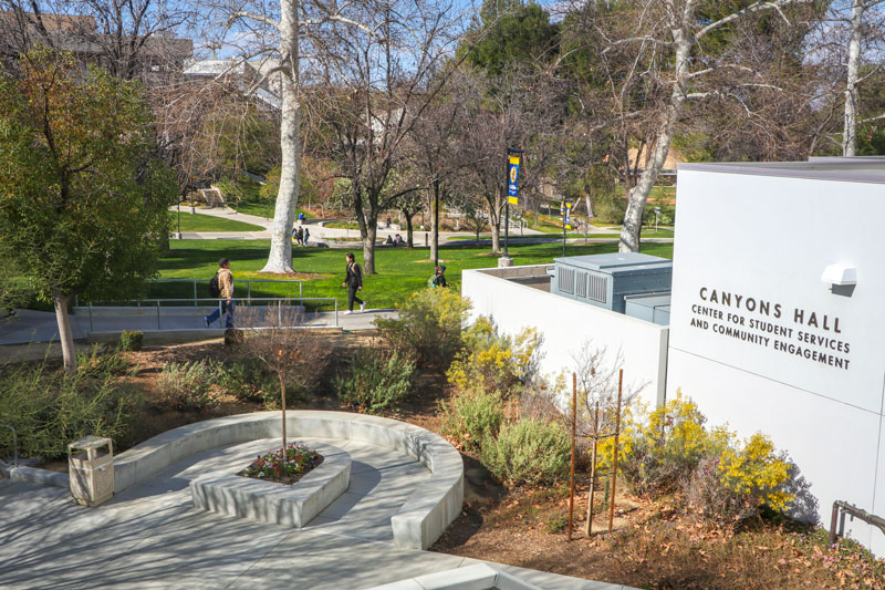 Drought-tolerant landscaping