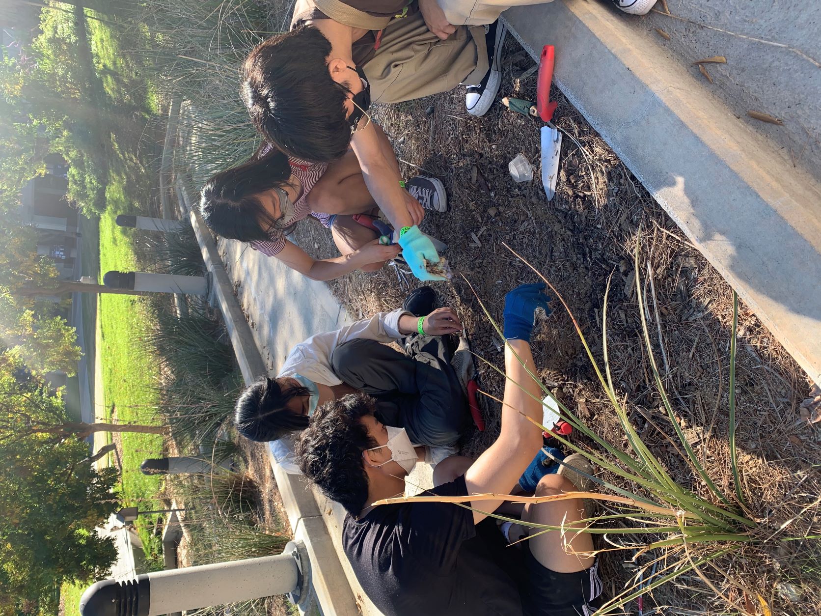 Group planting