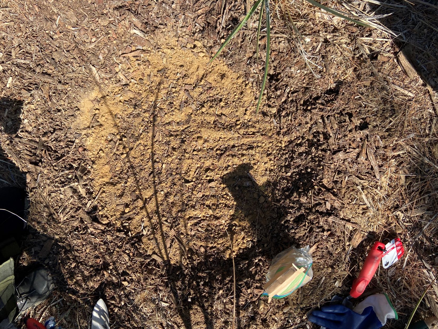 Picture of gardening hole