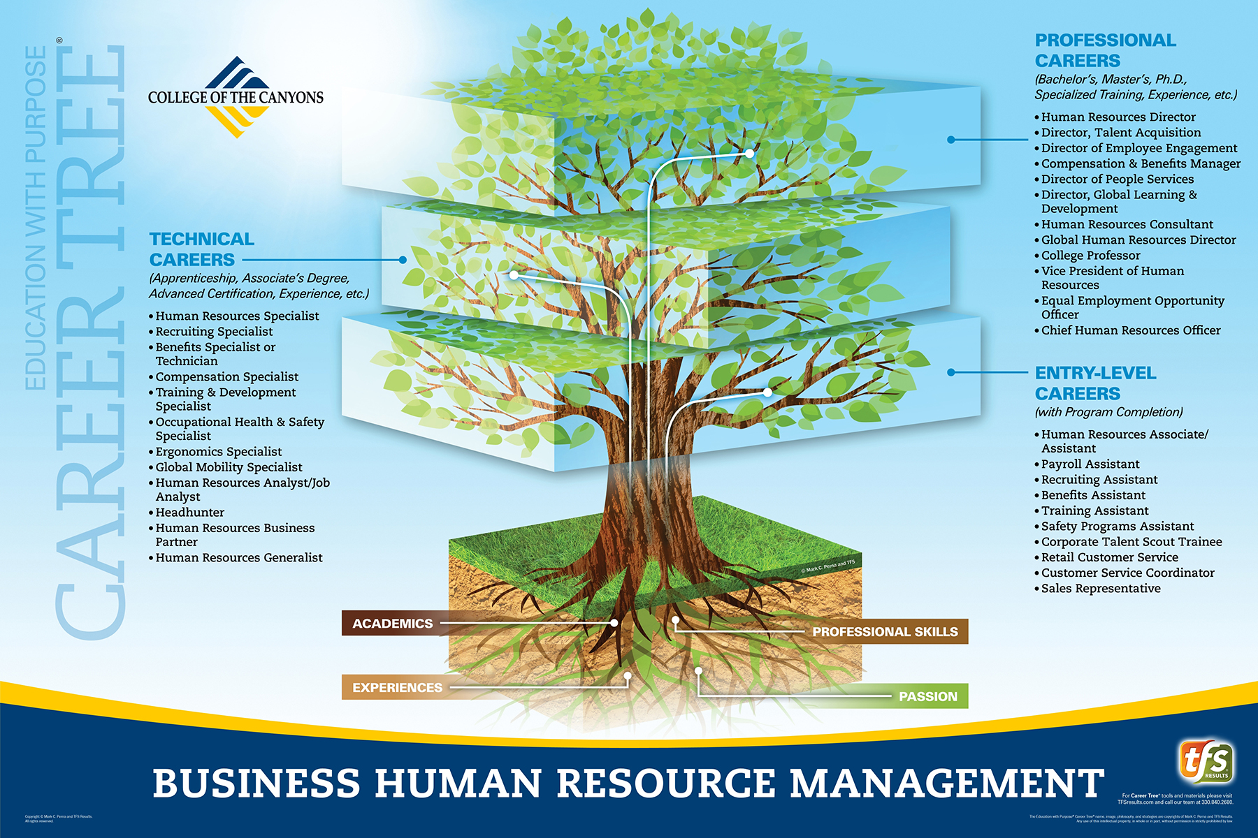 Career Tree Levels - Business Human Resources