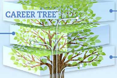 English Career Tree