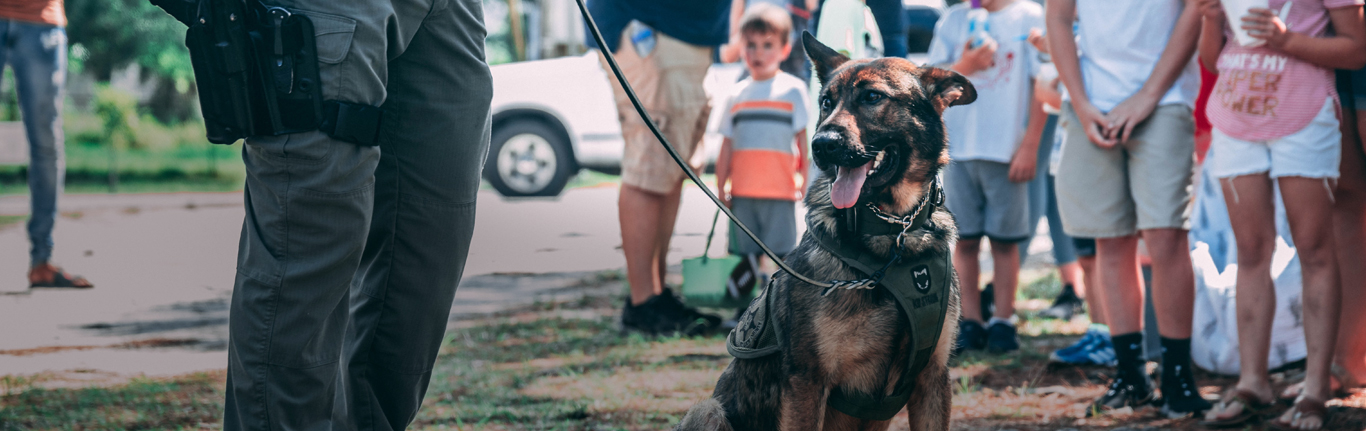 K9 Police Officer and German Shepherd.