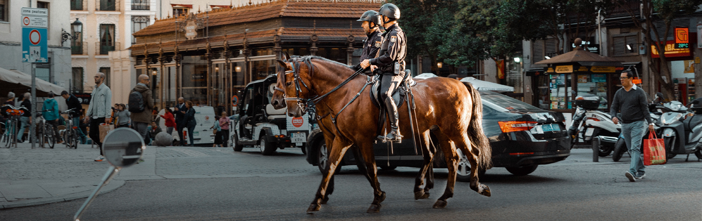 Mounted Police Officers in city street with traffic.