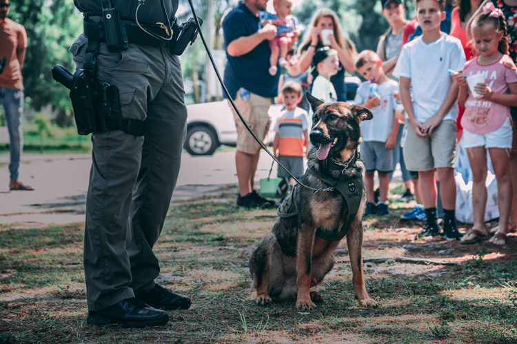 K9 Police Officer and German Shepherd.