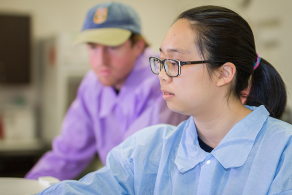 Medical Laboratory Technician students in lab.  