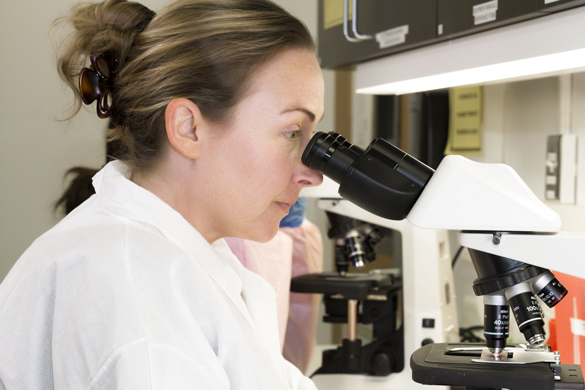 Medical Laboratory Technician student looking through a microscope.  