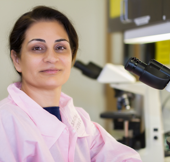 Medical Laboratory Technician student working with a microscope.  