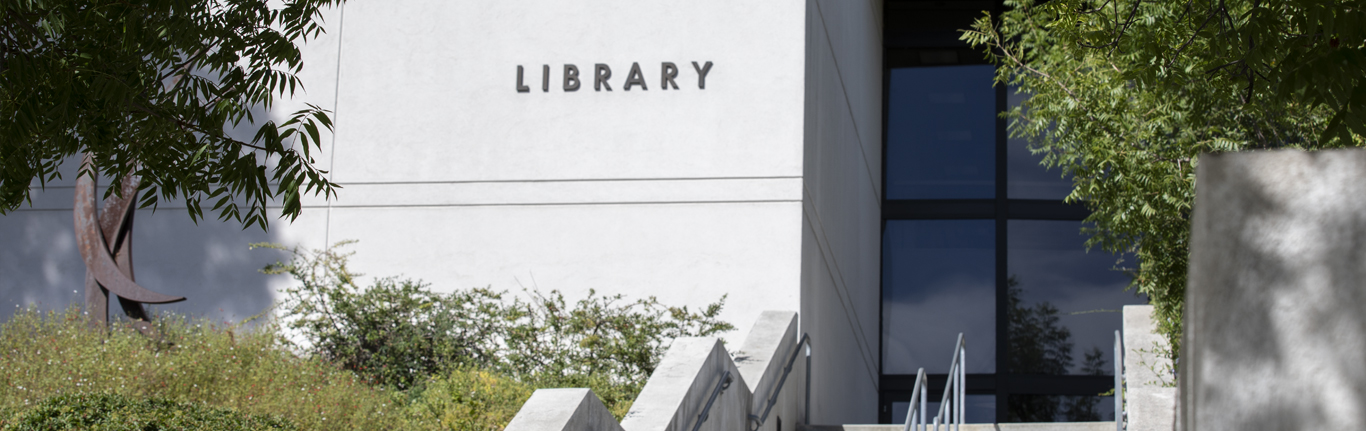 Staff working in library