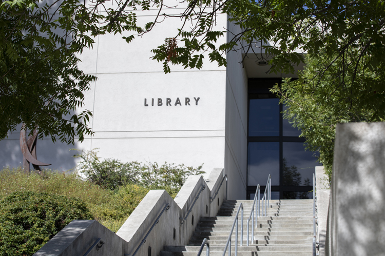 Staff working in library