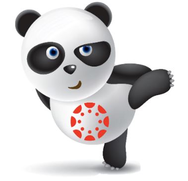 Canvas Kungfu Panda