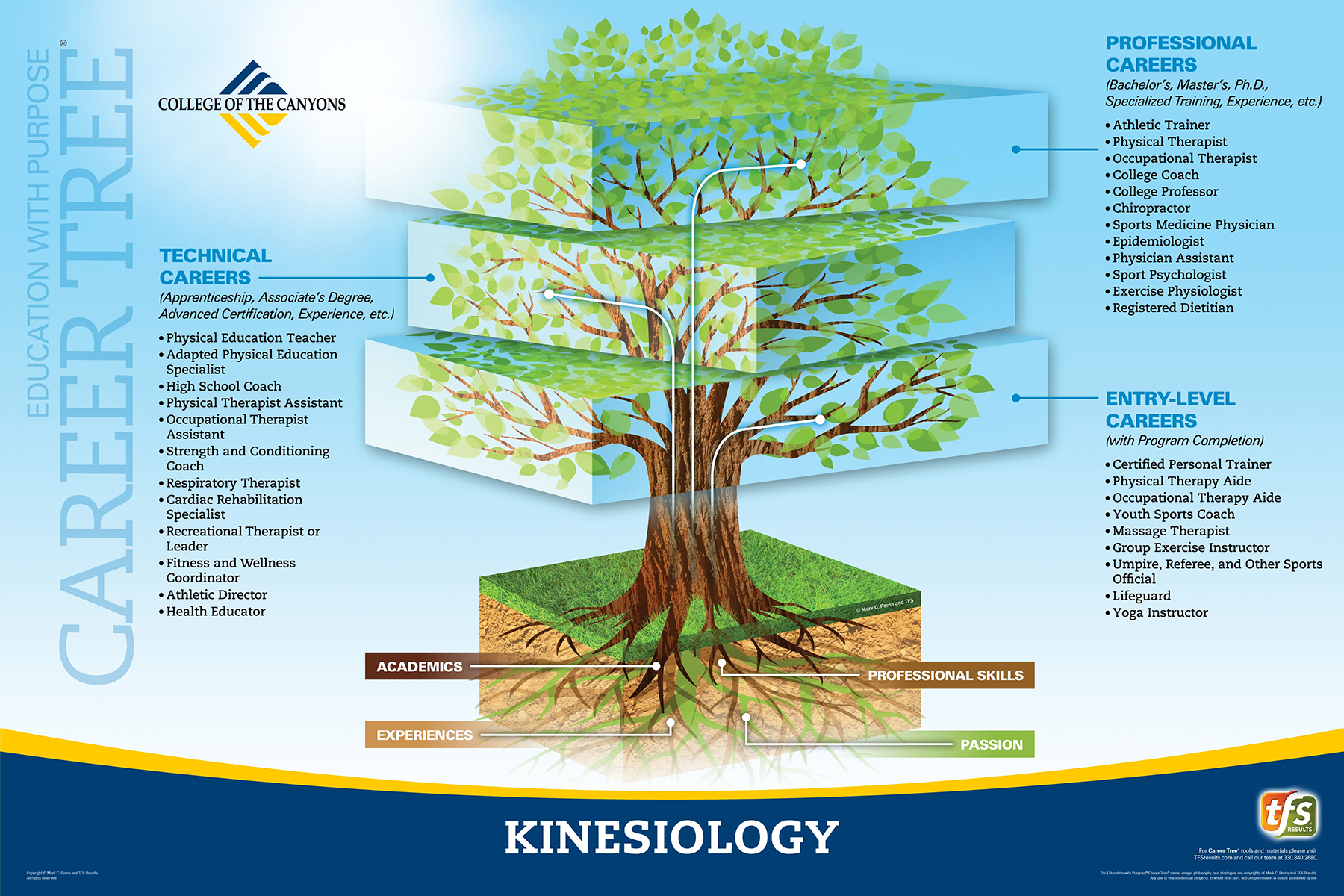 Career Tree Levels