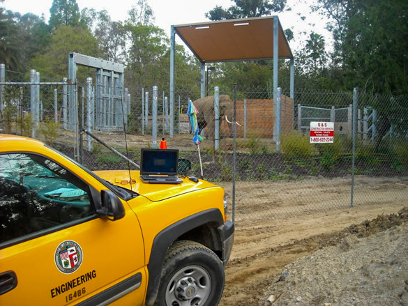 Surveying an elephant area of the zoo.