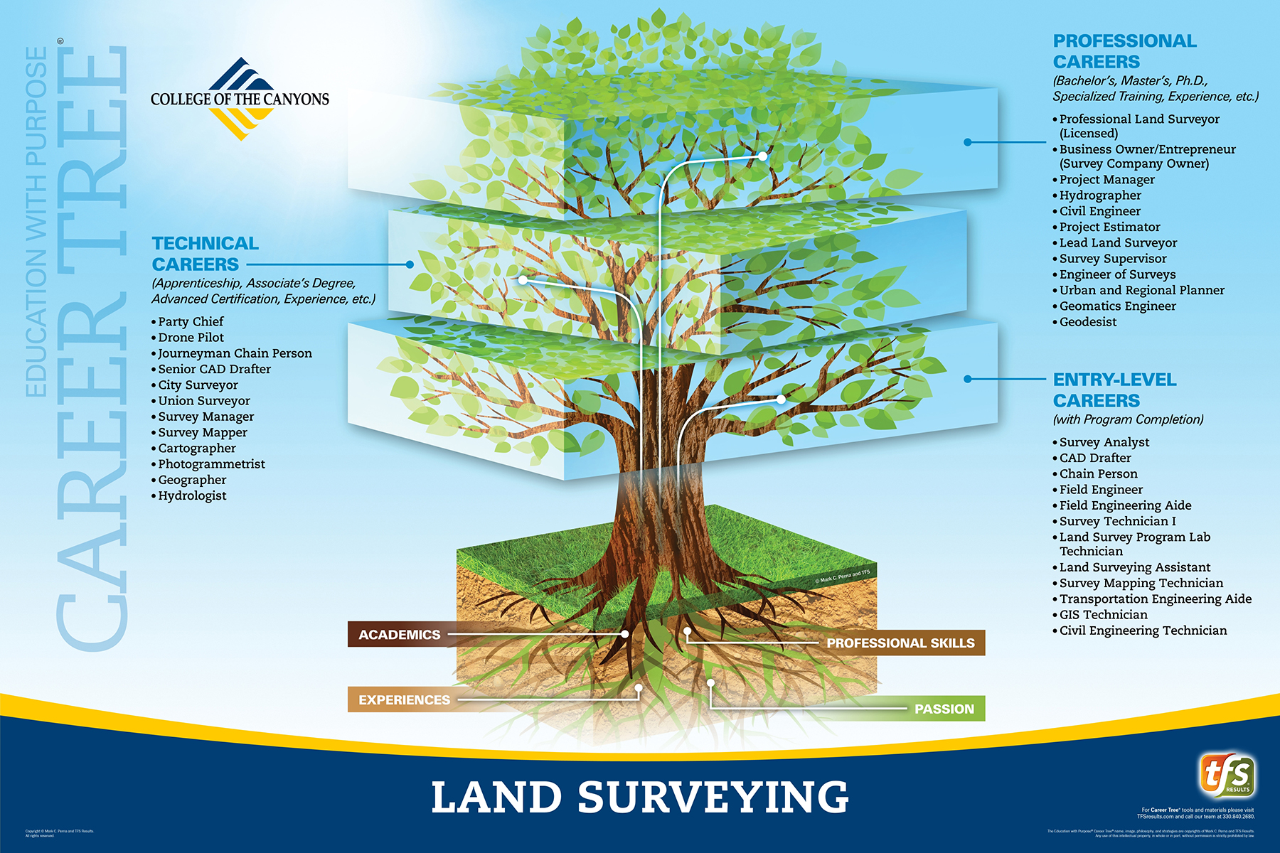 Career Tree Levels