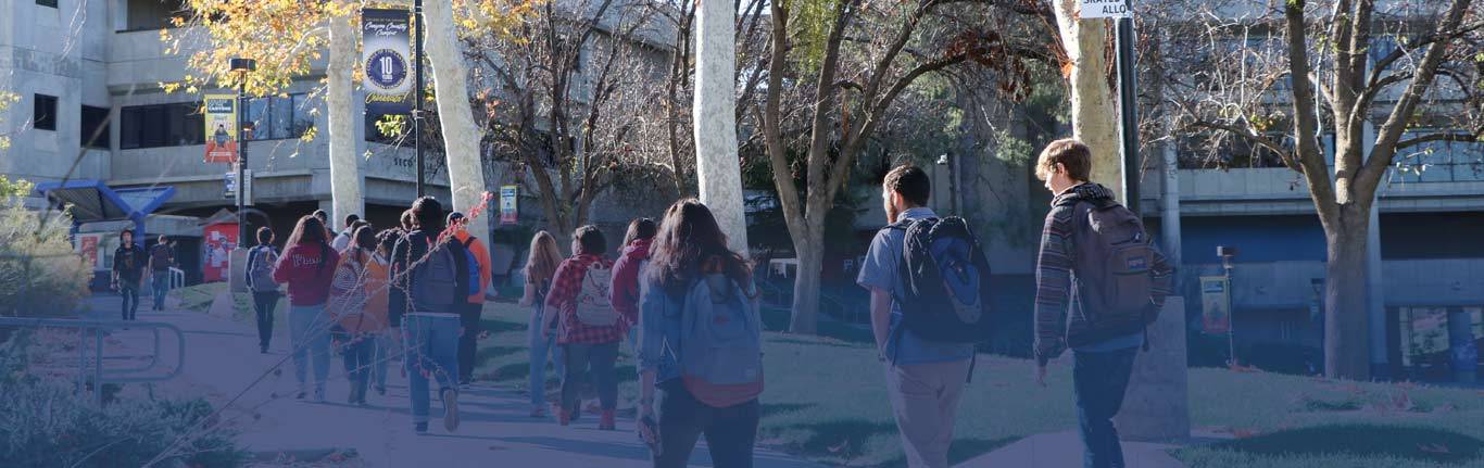 Students in Walkway