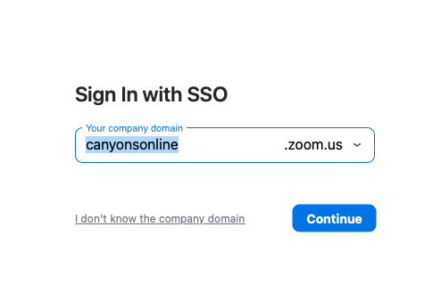 zoom application screenshot