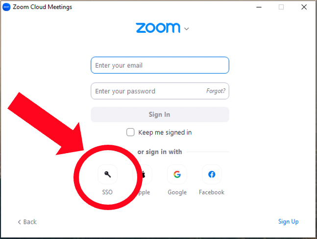 Screen shot of zoom login window