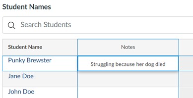 Example of Notes column