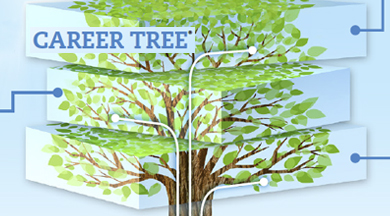 Career Tree image