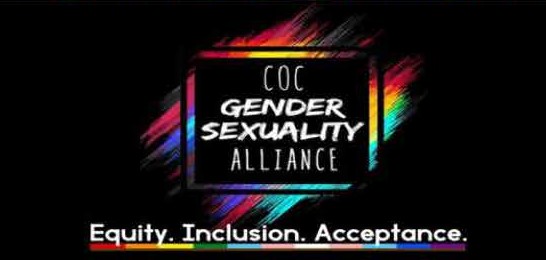 Gender Sexuality Alliance Workshop
